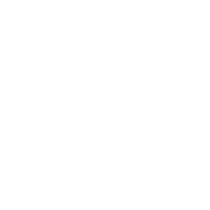 salvatore emblema biografia