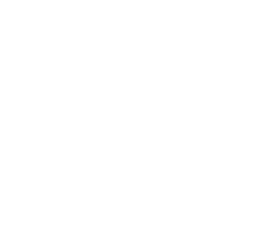 logo regione bn rev